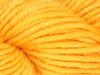 Ashford Dye - Individual 10g pots