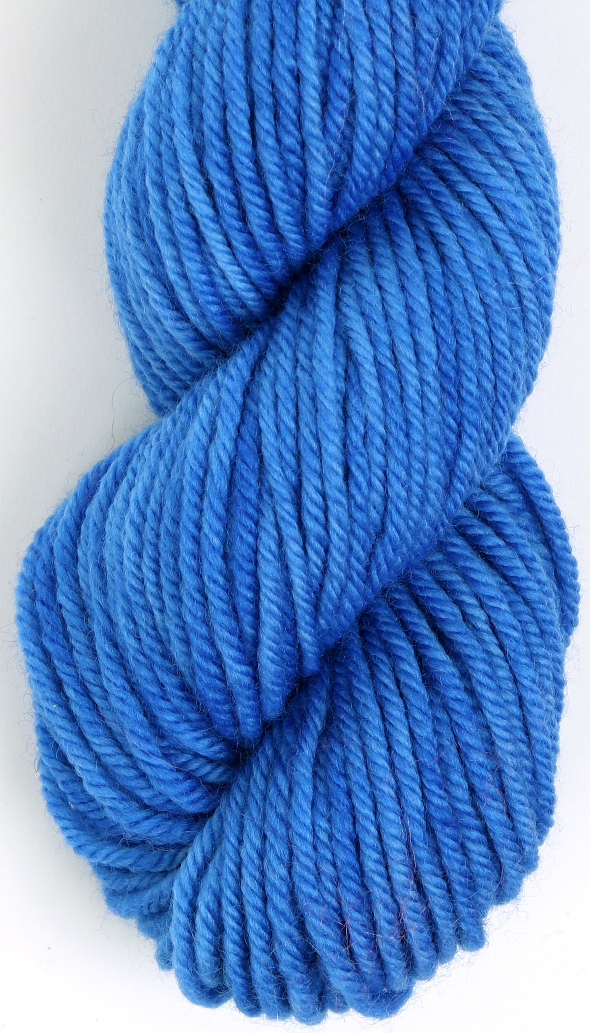 Protein Dye 12 Pack - Ashford