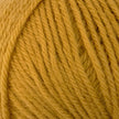 6218 Golden Ochre