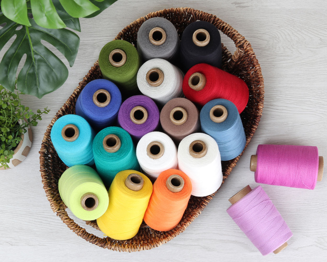 Unmercerised Cotton 5/2 - 200g cone - Ashford - PREORDER