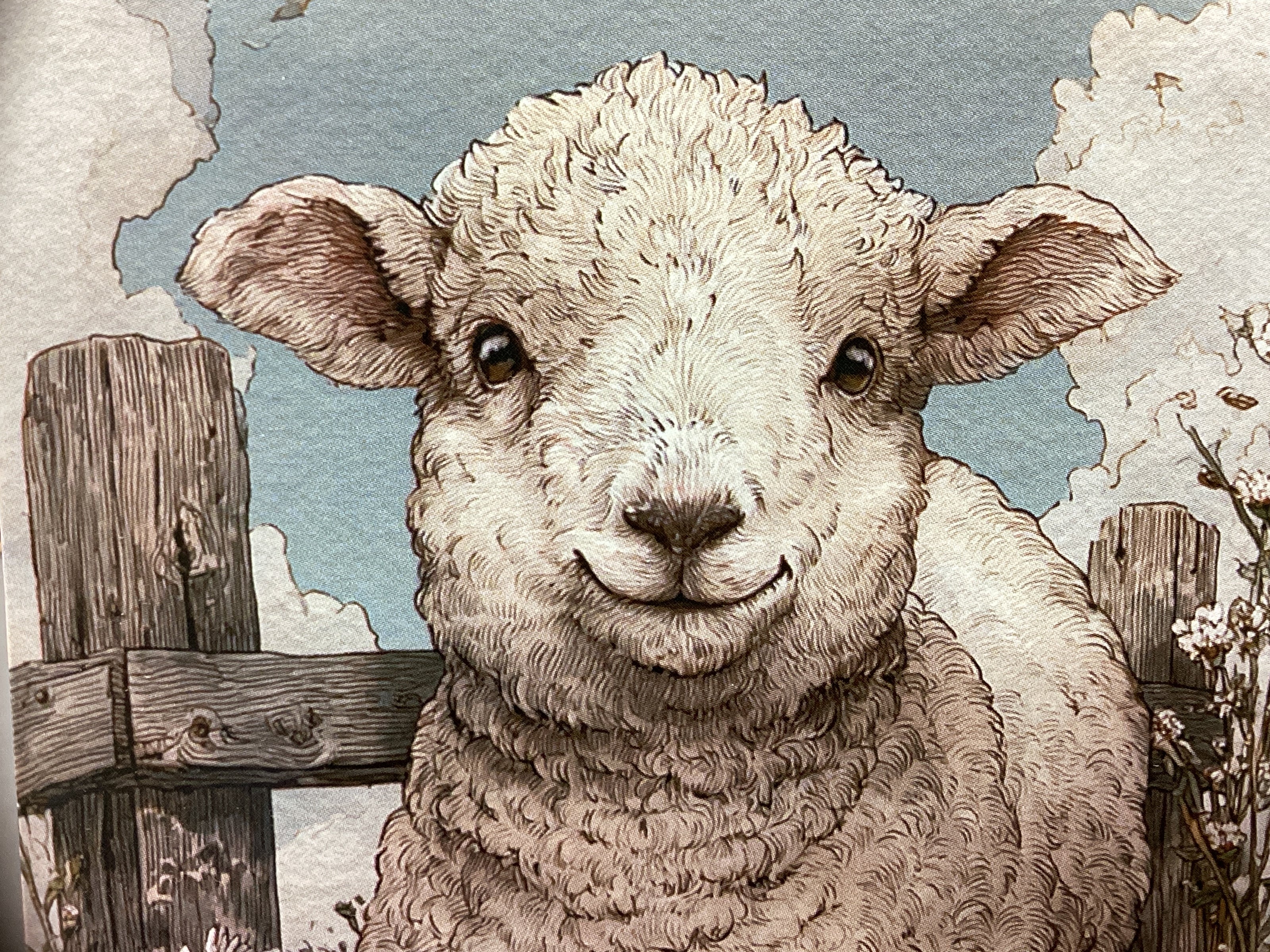 Greeting Cards