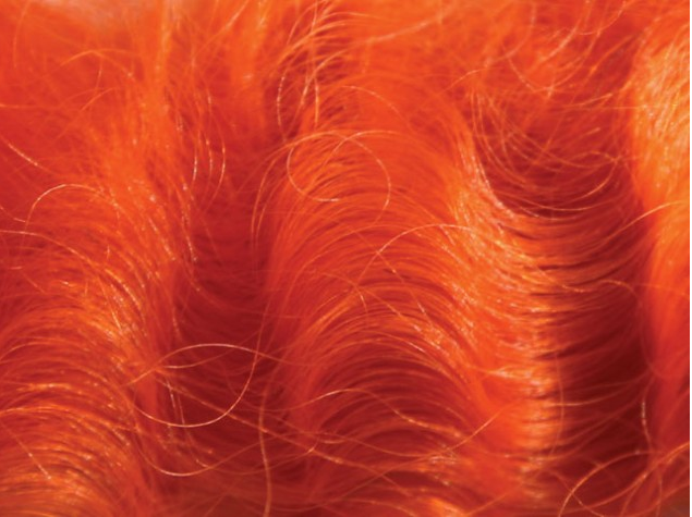 Ashford Dye 12 x 10g pack